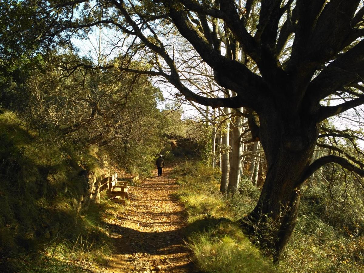 Natura Jordan Murillo de Gallego Bagian luar foto
