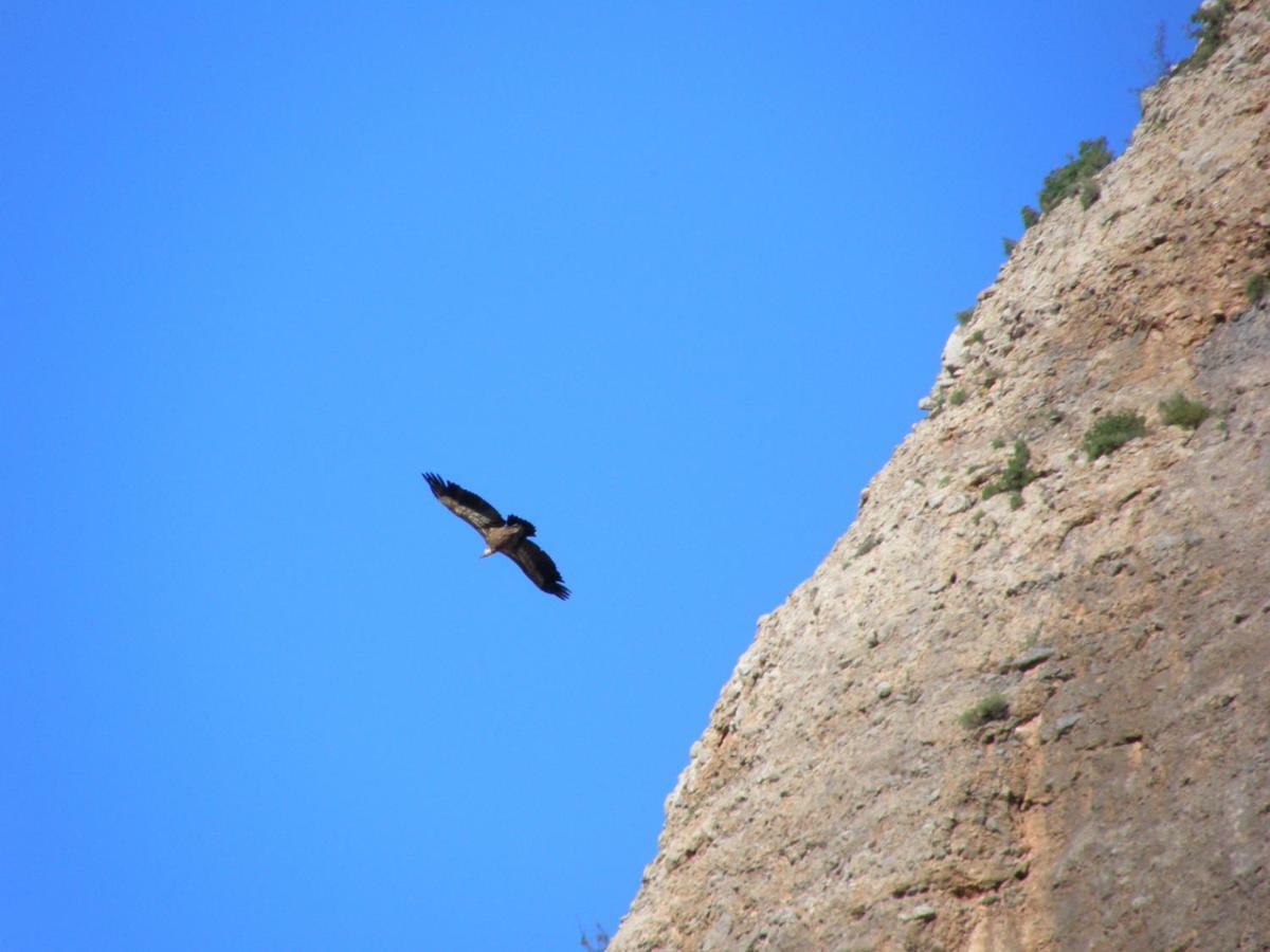 Natura Jordan Murillo de Gallego Bagian luar foto