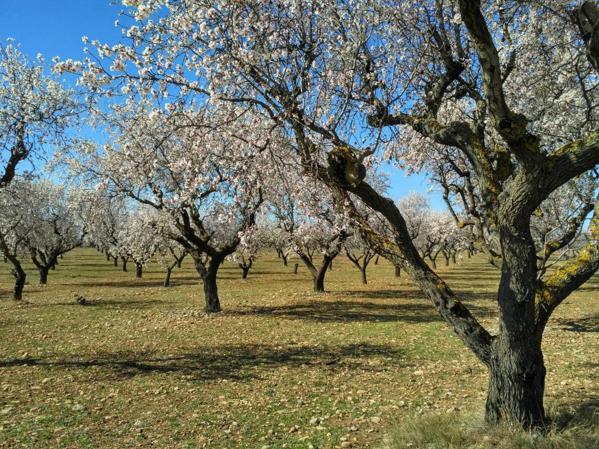 Natura Jordan Murillo de Gallego Bagian luar foto