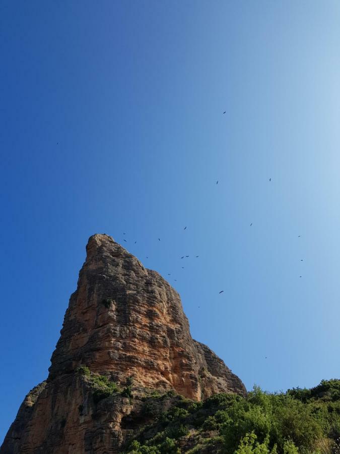 Natura Jordan Murillo de Gallego Bagian luar foto